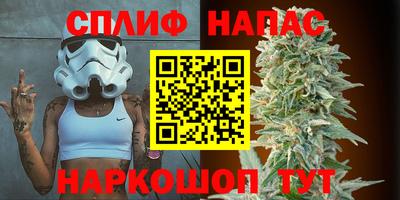 ГАЛЛЮЦИНОГЕННЫЕ ГРИБЫ Беслан